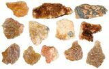 Lot - Pink and Orange Bladed Barite - Pieces - Morocco #138053-2